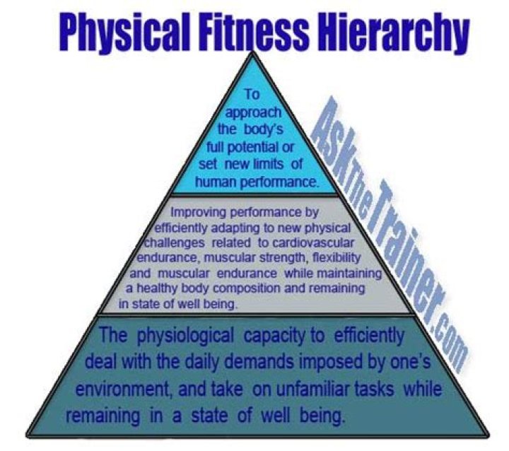 What is the simplest definition of physical fitness?
