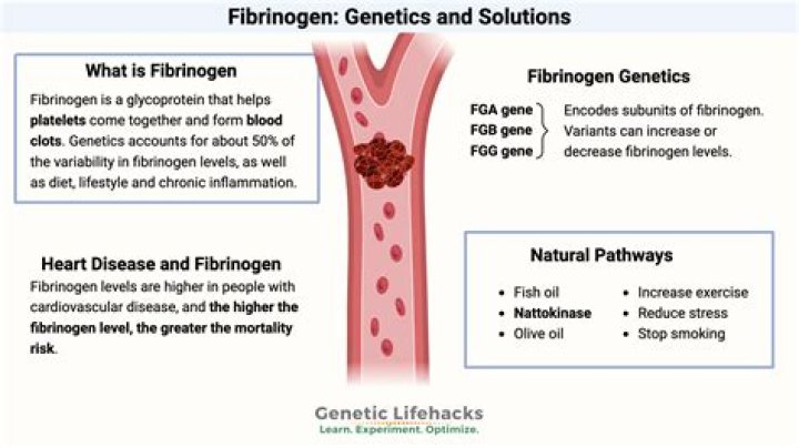 What is the size of fibrin?