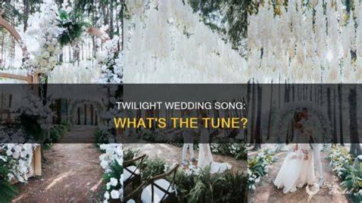What is the song played at the wedding in Twilight?