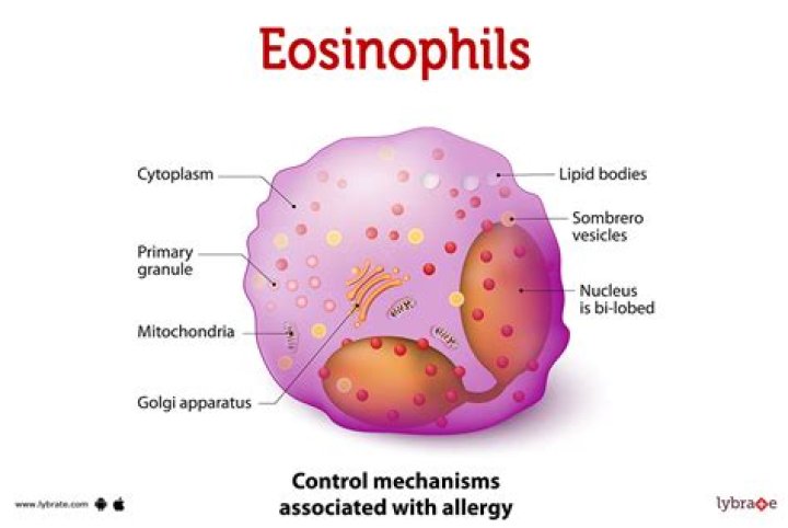 What is the staining of eosinophils?