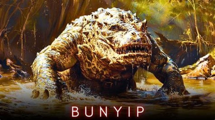 What is the story behind the bunyip?