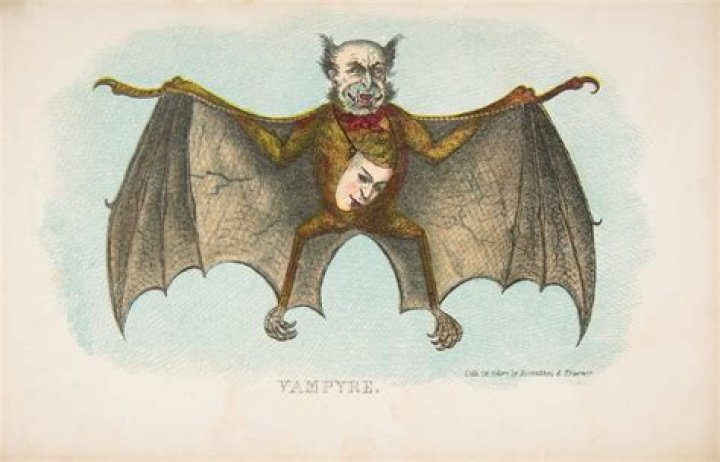 What is the story behind vampires and bats?