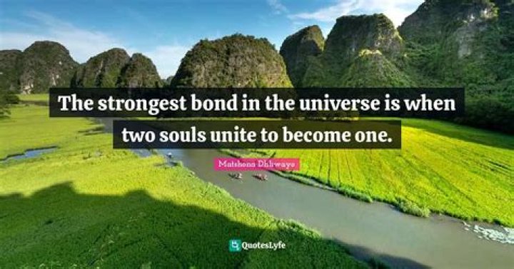 What is the strongest bond in the universe?