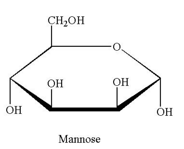 What is the structure of mannose?