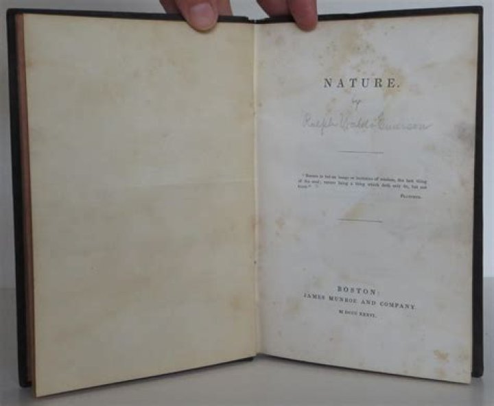 What is the summary of nature by Emerson?