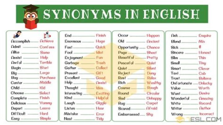 What is the synonym of section?