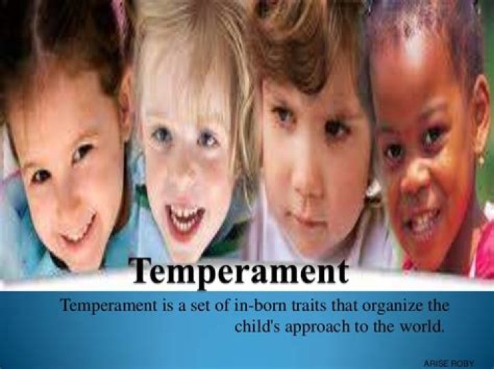 What is the temperament theory?