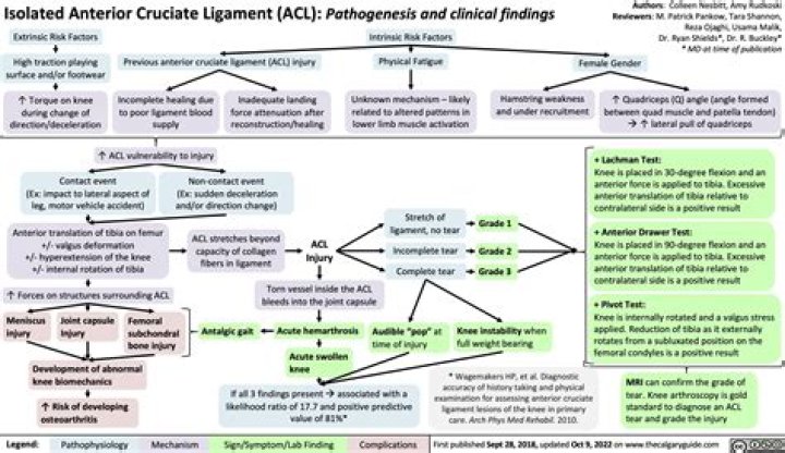 What is the treatment protocol for an ACL injury?