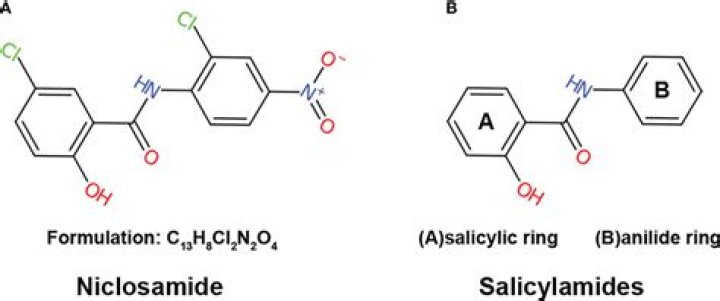 What is the use of niclosamide?