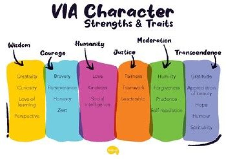 What is the VIA character strengths survey?