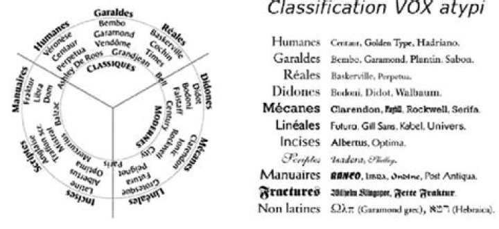 What is the VOX type classification?