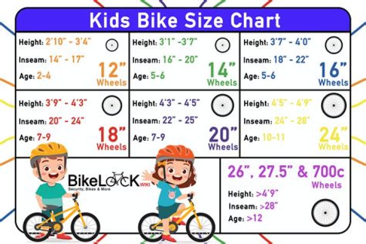 What is the weight limit for a 20 inch bike?