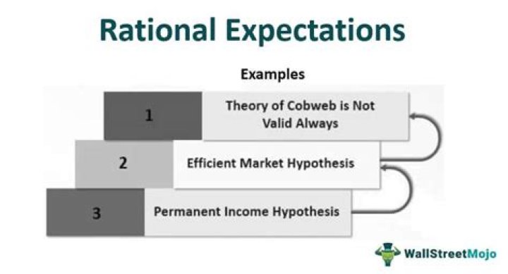 What is theory of rational expectations in economics?