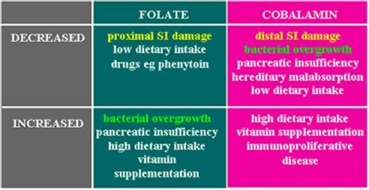 What is TLI pancreas?