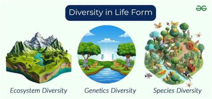 What is unity and diversity of life?