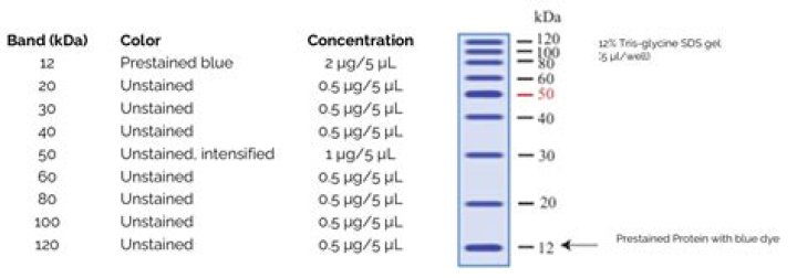 What is Unstained protein ladder?