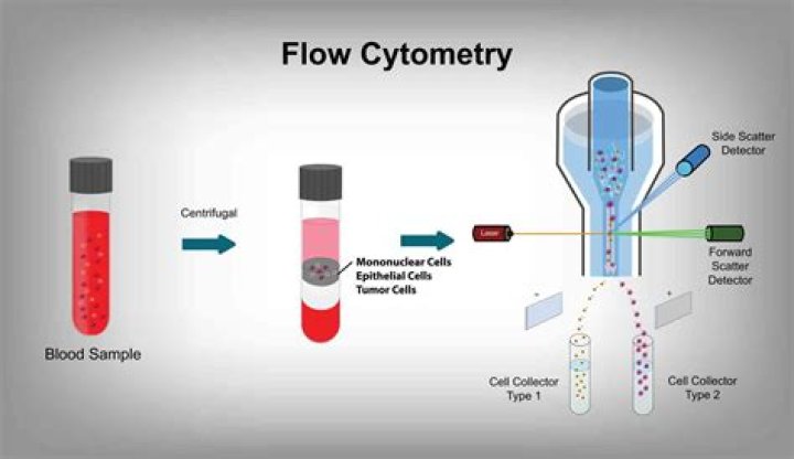 What is urine flow cytometry?