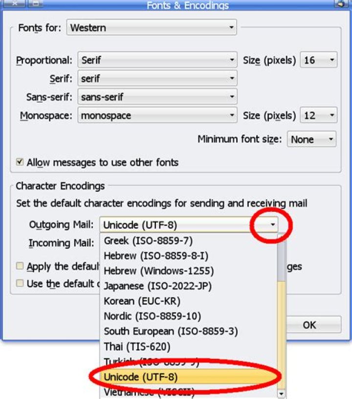 What is UTF-8 format?