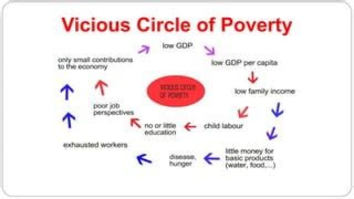 What is vicious circle of poverty Class 11?