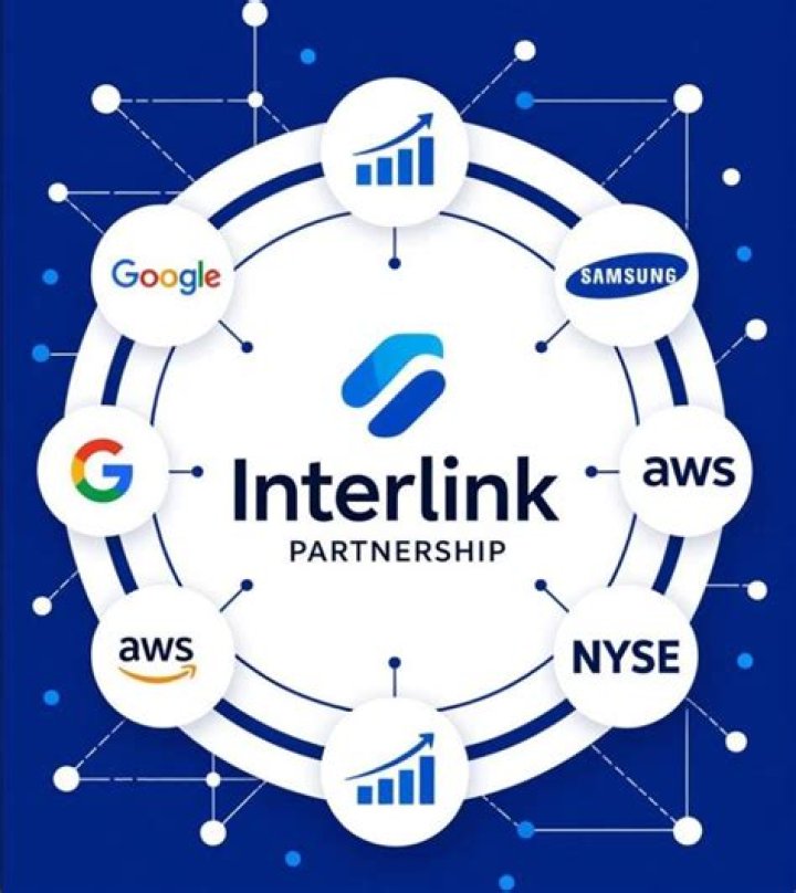 What is Visa Interlink network?