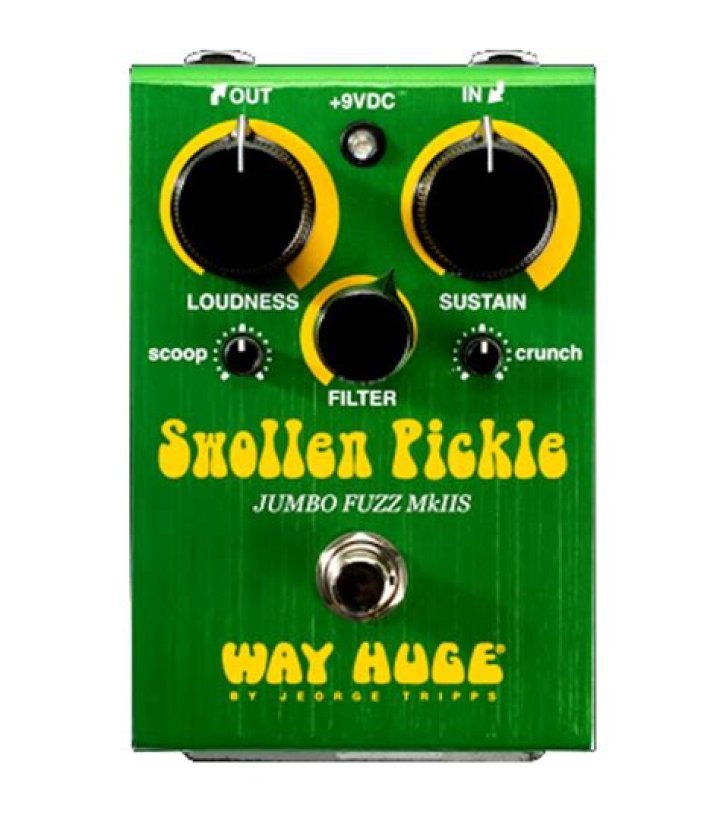What Is Way Huge Swollen Pickle based on?