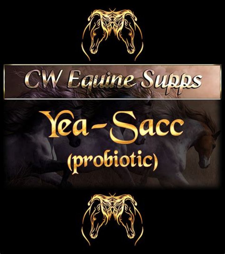 What is Yea Sacc?