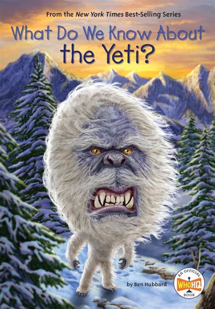 What is yeti short for?