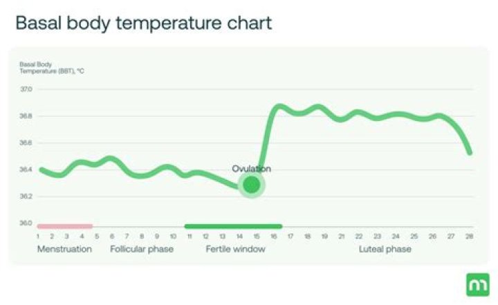 What is your basal temp when pregnant?