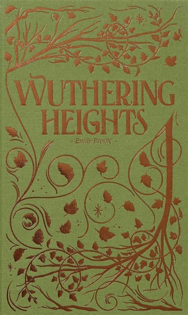 What kind of book is Wuthering Heights?