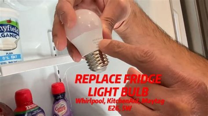 What kind of bulb goes in my fridge?