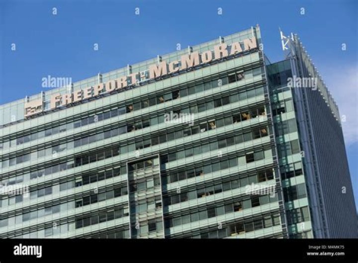 What kind of company is Freeport-McMoRan?