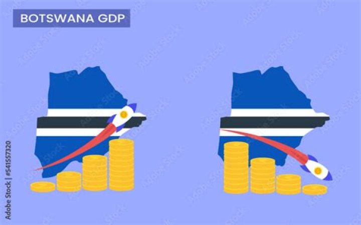 What kind of economy does Botswana have?
