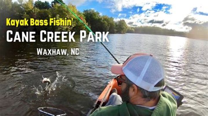 What kind of fish are in Cane Creek NC?