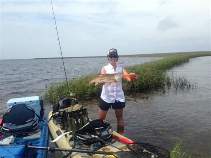What kind of fish are in the Aucilla River?