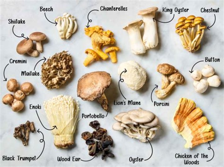 What kind of mushrooms do you eat with steak?