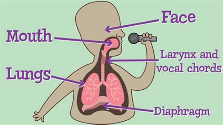 What kind of throat singing does Sheldon do?