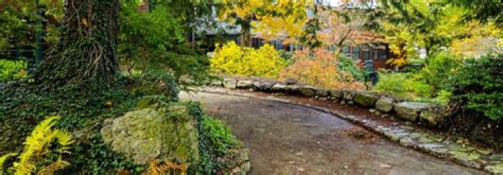 What kinds of landscape features did Frederick Law Olmsted include in his plans?