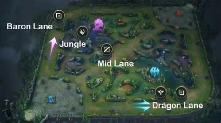 What lane should Lee Sin play?