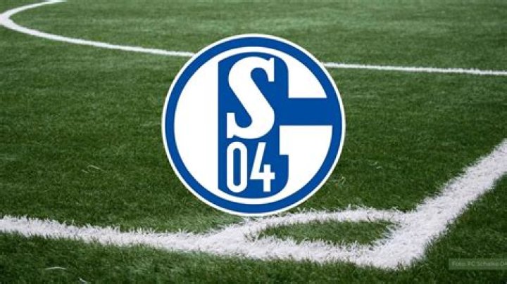 What League does Schalke 04 play in?