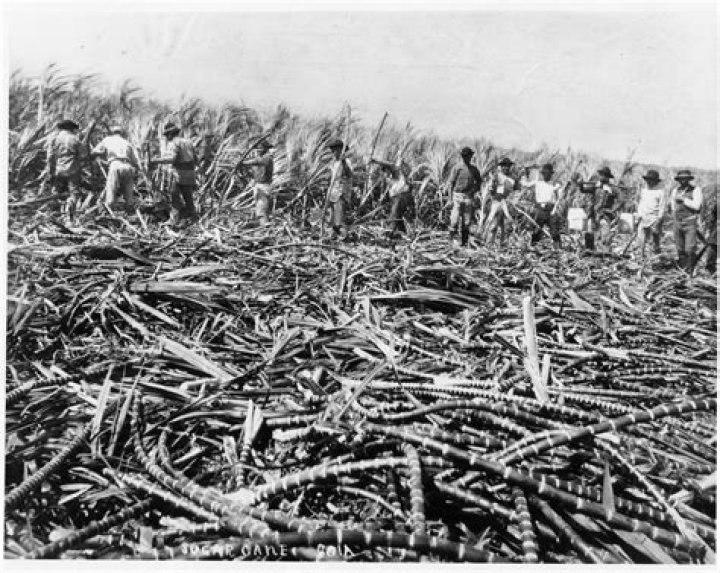 What legislative act caused a crisis by threatening Hawaiian sugar growers?