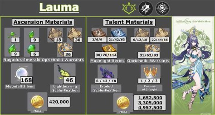 What materials are needed for Windstad Manor?
