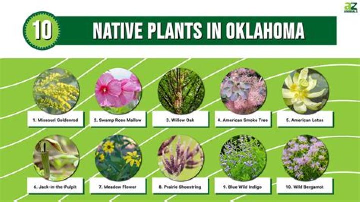 What natural features are in Oklahoma?
