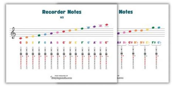 What notes can a recorder play?