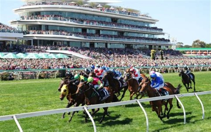 What odds are nuisance Melbourne Cup?