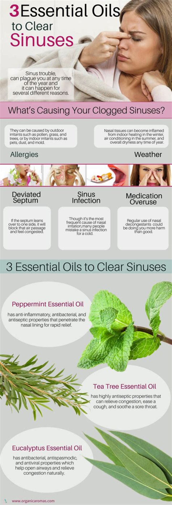 What oils help clear sinuses?