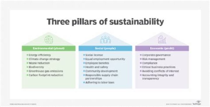 What organizations are involved in sustainability?