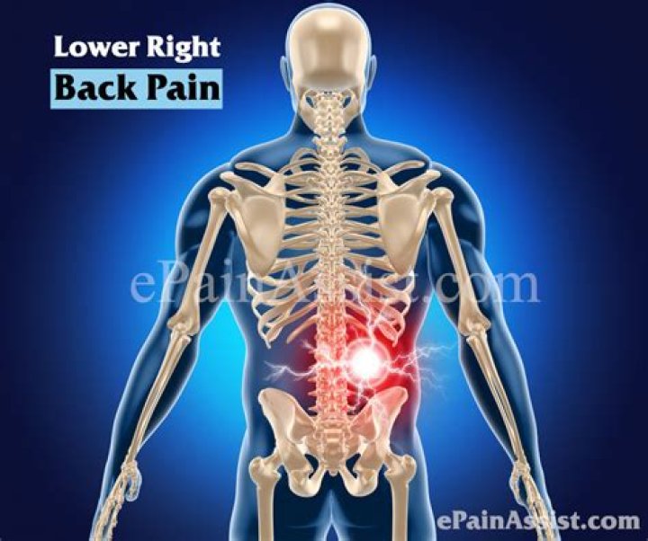 What organs can cause lower right back pain?