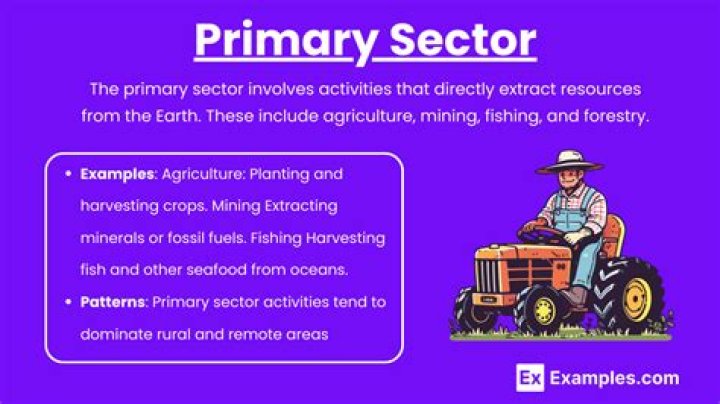 What percentage of the US works in the primary sector?