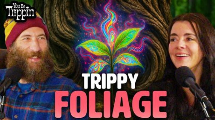 What plants make you trip?