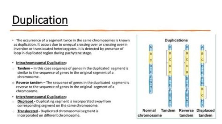 What process results in both deletions and duplications?